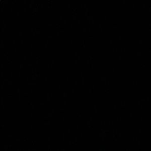 Meet your Posher, Weston